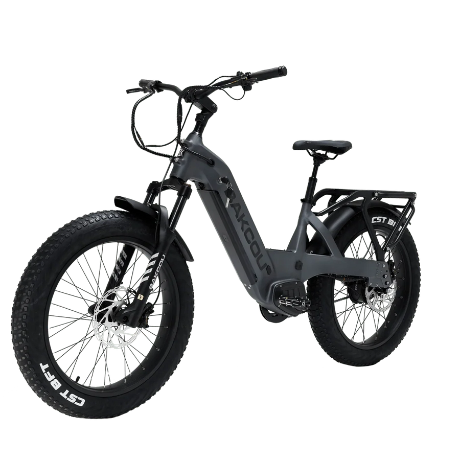 BAKCOU FLATLANDER SD