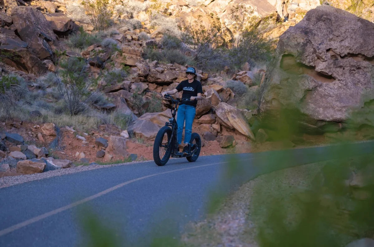 Bakcou Timberwolf Electric Scooter