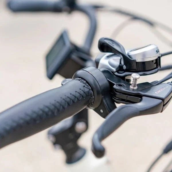 Bull Urban Cruiser