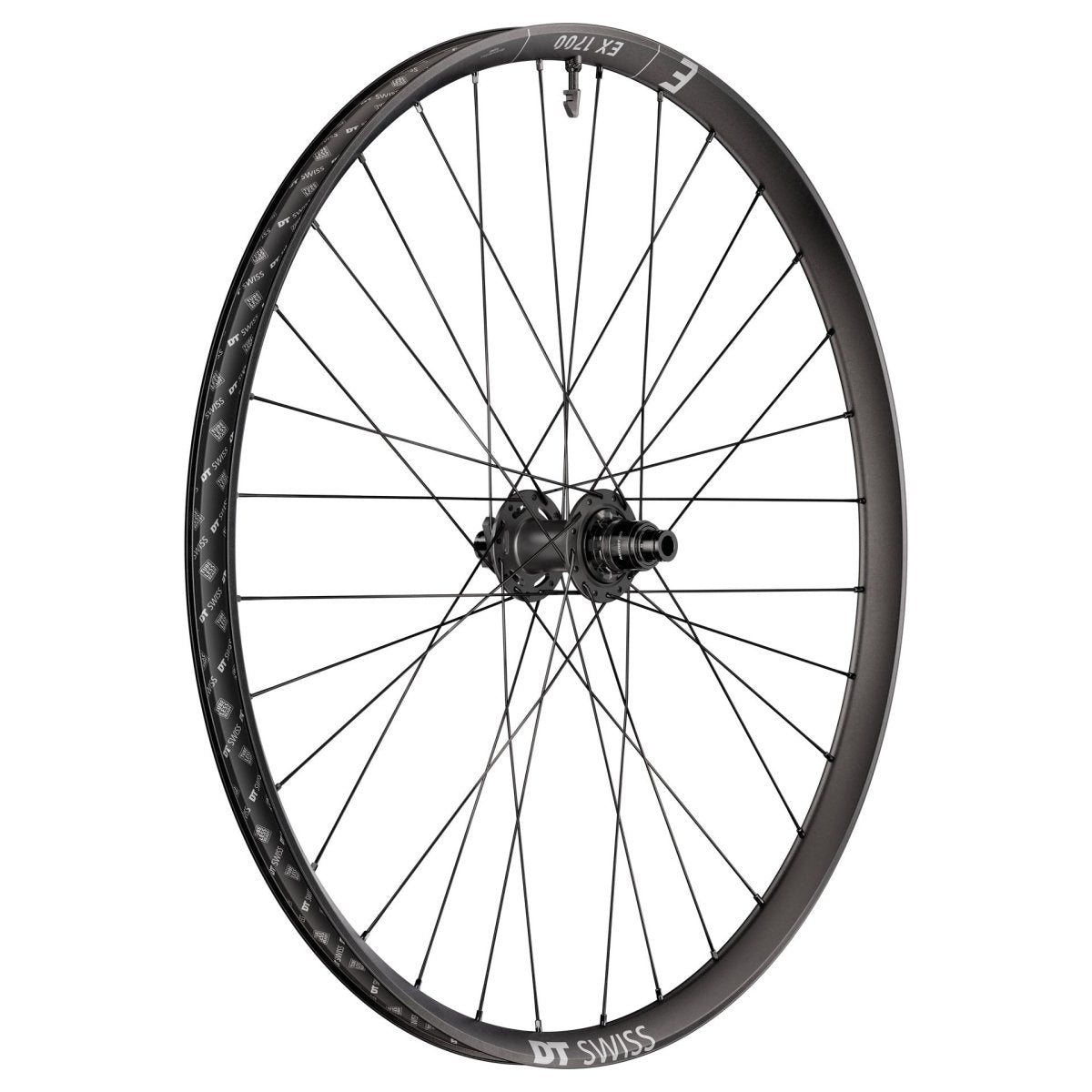DT Swiss EX 1700 Classic 29" Wheels