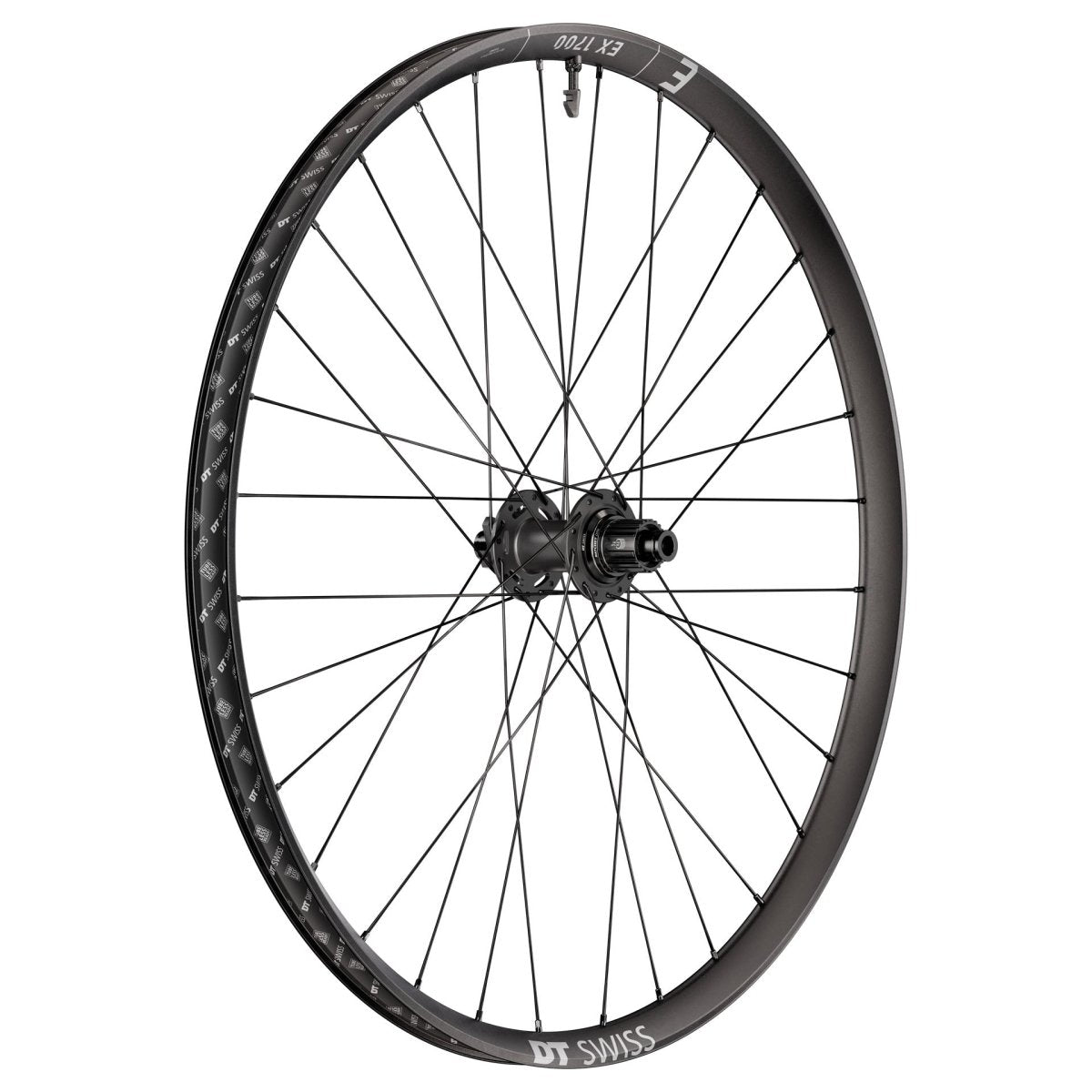 DT Swiss EX 1700 Classic 29" Wheels