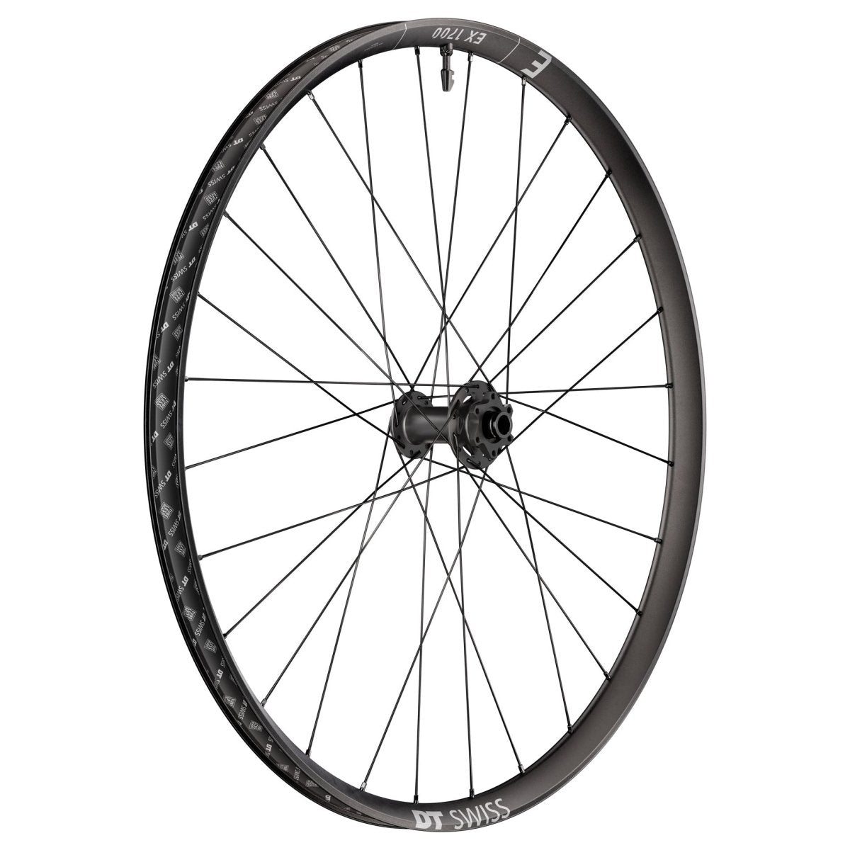 DT Swiss EX 1700 Classic 29" Wheels