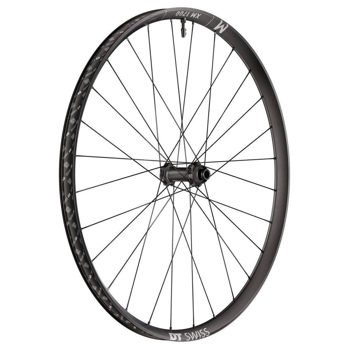 DT Swiss XM 1700 Spline 29" Wheels