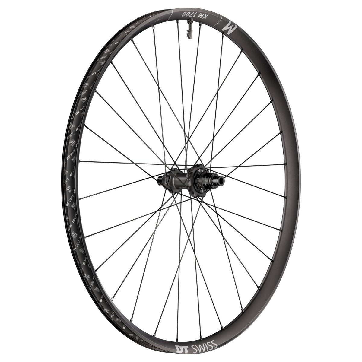 DT Swiss XM 1700 Spline 29" Wheels
