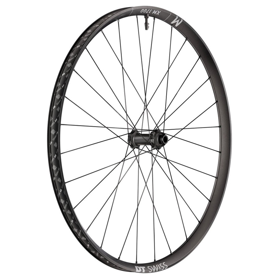 DT Swiss XM 1700 Spline 29" Wheels