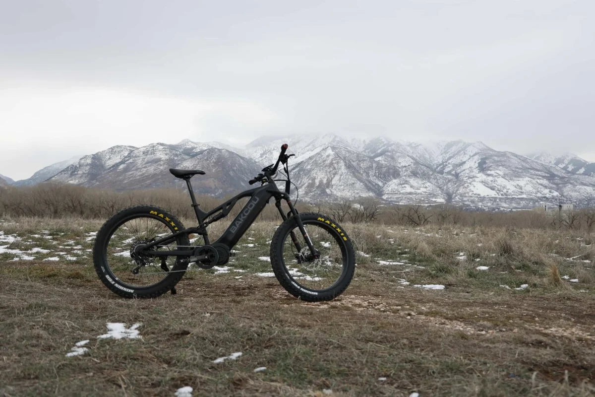 Bakcou Scout – Standard Shifting