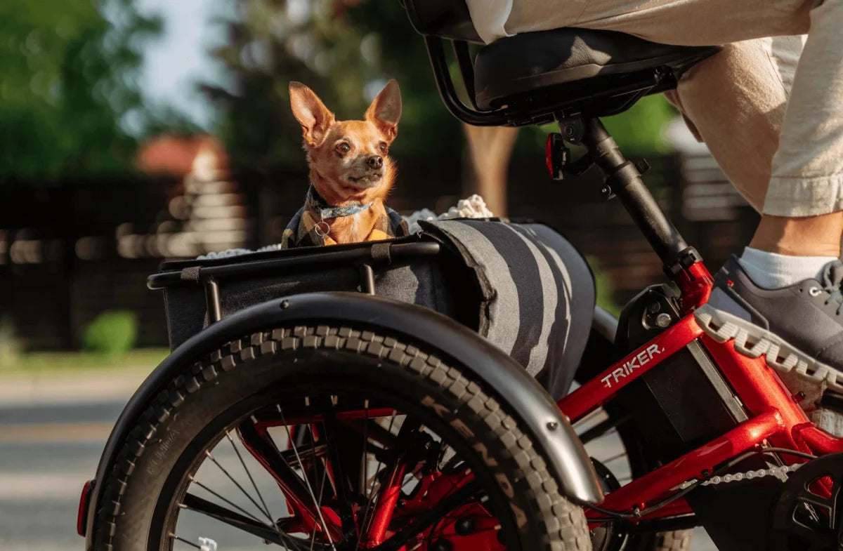 Velotric Triker Electric Tricycle